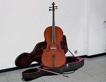 Spedizione violoncello